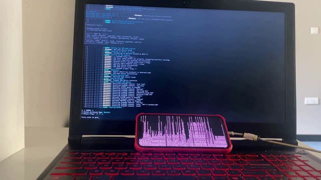 Palera1n Jailbreak IOS 16 3 1