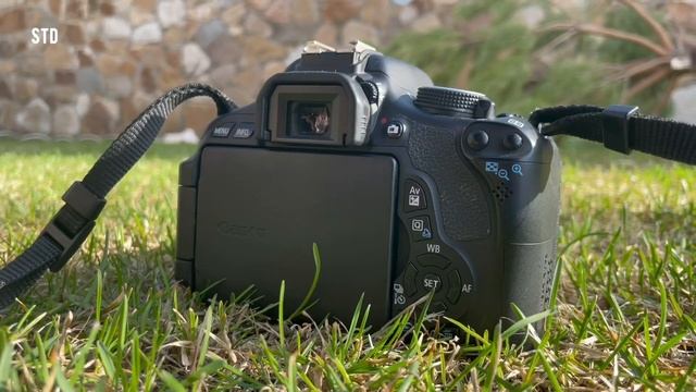 Как я делаю свои фотографии шляйх смотреть онлайн