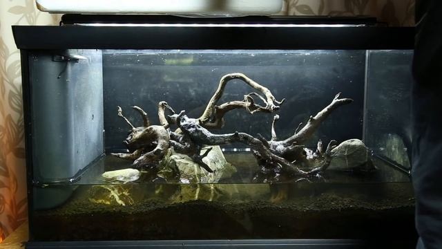 HOW TO Aquascape on a small budget NON-CO2 injection смотреть онлайн
