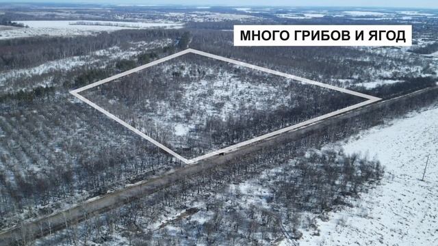 "Manzanares - яблоневый сад" Коттеджный посёлок комфорт класса. смотреть онлайн