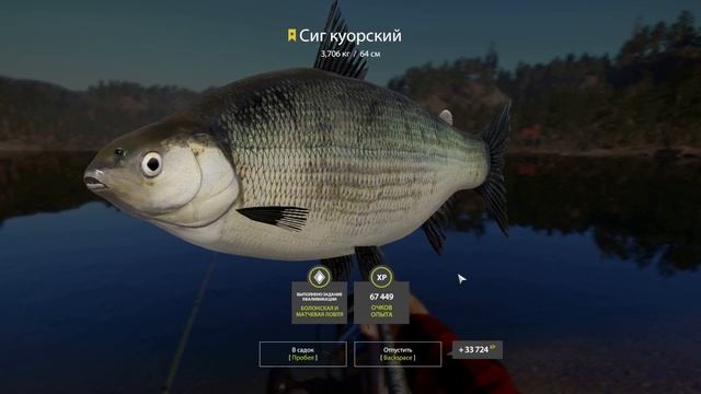 Трофей Сиг куорский оз. Куори смотреть онлайн