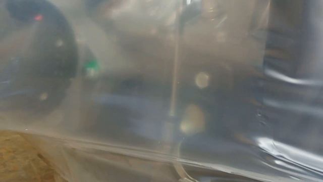 Отправка 2-х грузов от 01.08.2022 смотреть онлайн