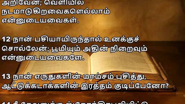 சங்கீதம் 50 | PSALM 50 | SANGEETHAM 50 | TAMIL BIBLE READING | VISUVASAM TV смотреть онлайн