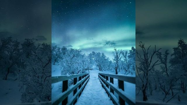 #24февраля - Коровий праздник, Власьев день. смотреть онлайн