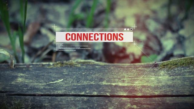 How To Promote Your music Web | PR-social listings, adverts, audience tagging | Custom content | SE смотреть онлайн