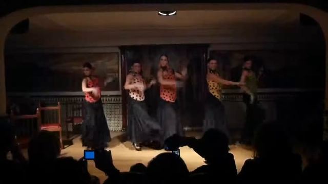 04-Tangos flamencos.mkv смотреть онлайн