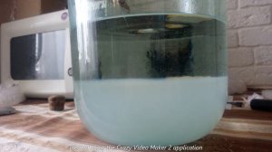 КРАСИВАЯ  ОПАЛЕСЦЕНЦИЯ