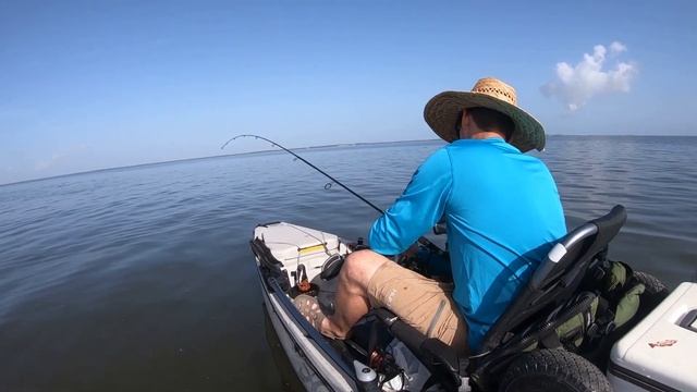 Using Gulp bait shrimp to locate and catch various species of fish. смотреть онлайн