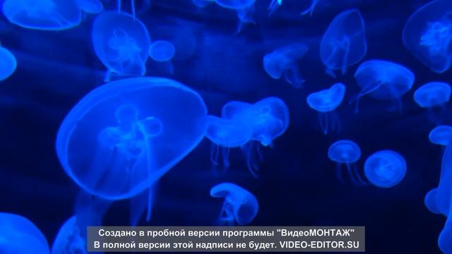 BEAUTIFUL RELAXING MUSIC. Музыка для расслабления, медитации, учебы, чтения, массажа, спа или сна. смотреть онлайн