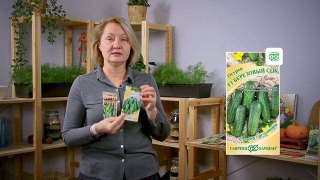 НОВАЯ СЕРИЯ ОГУРЦОВ смотреть онлайн