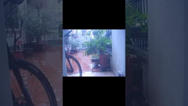 Rain || Samsung Digimax S500 / Cyber 530 смотреть онлайн