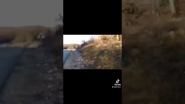 упс смотреть онлайн