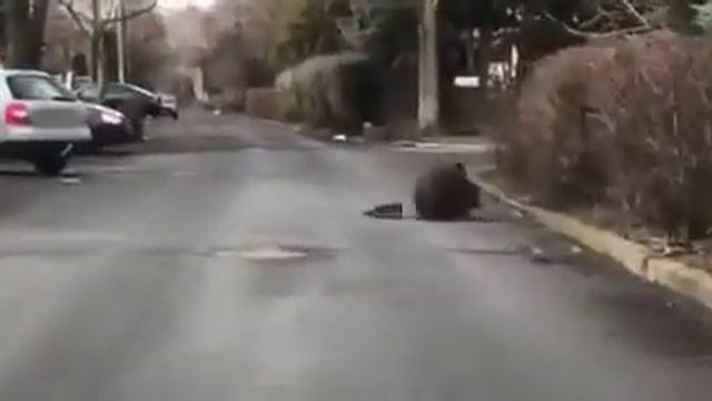 8 Марта в деревне смотреть онлайн