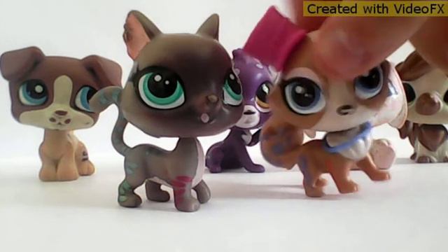 Клип М это Милена ляпнула в конце смотреть онлайн