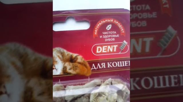 Покупки из зоомагазина № 1 смотреть онлайн
