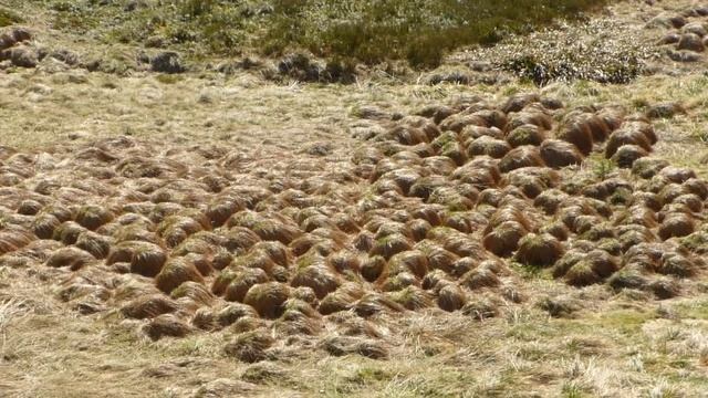 MISSHEIMLE - vidéo 9 : une autre vue d'ensemble du site (2014) - смотреть онлайн