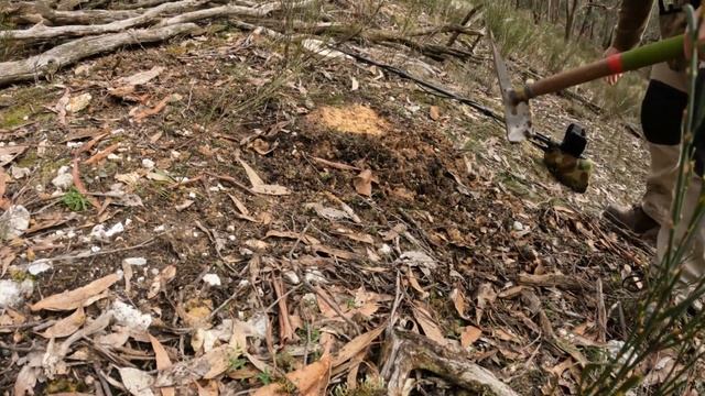 Smythesdale Reef Gold with the Minelab GPX 6000 with the Coiltek 9"Goldhawk coil смотреть онлайн