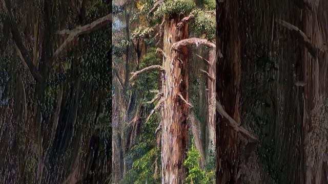 Лес. Картина маслом 30х40, покрыта лаком. Продается с рамкой из натурального дерева. смотреть онлайн