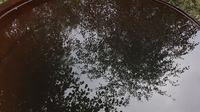 Горная природа в ожидании Осени.... смотреть онлайн