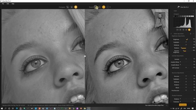 How To USE Best BLACK And WHITE Editor Software Silver EFEX PRO 3 OF Nik Collection 4 DXO[PORTRAIT] смотреть онлайн