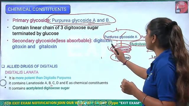 Cardiotonic | Chapter-5 (Lecture-2) Exit Exam | D.Pharm 1st Year (ER20- 23T) смотреть онлайн