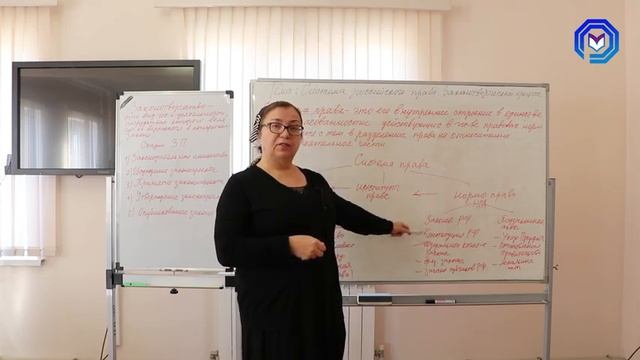 Урок №20 Система российского права Законотворческий процесс смотреть онлайн