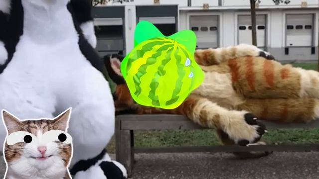 АНТИФУРРИ - ПОЧЕМУ НЕНАВИДЯТ ФУРРИ?! РАЗГОВОР С АНТИФУРРИ лидером