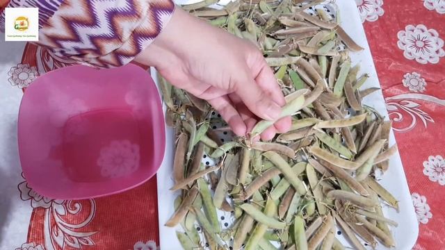 Collecting sweet pea seeds ~ How and when to save and store sweet pea flowers seeds? смотреть онлайн