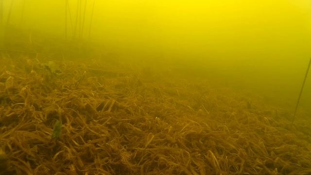 Зимняя рыбалка 2016 года Микс смотреть онлайн