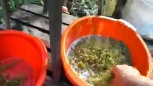Дробилка для винограда смотреть онлайн