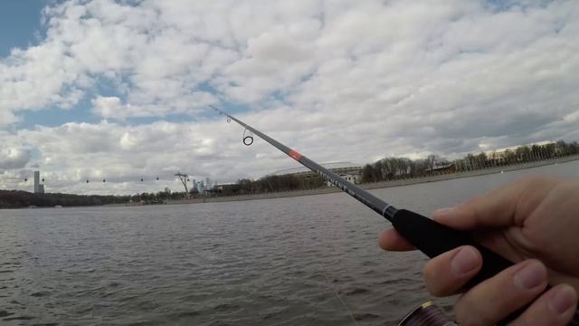 Narval ARGUMENT 82M смотреть онлайн