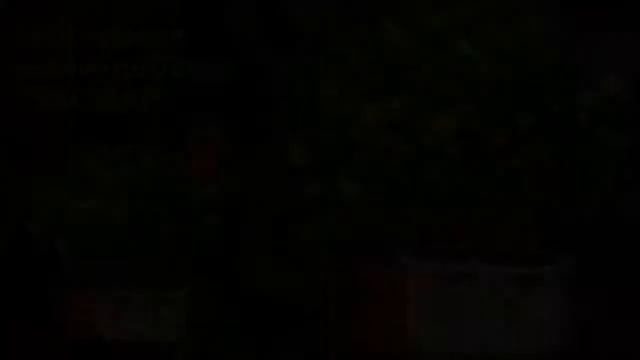 карликовое дерево 6 букв смотреть онлайн