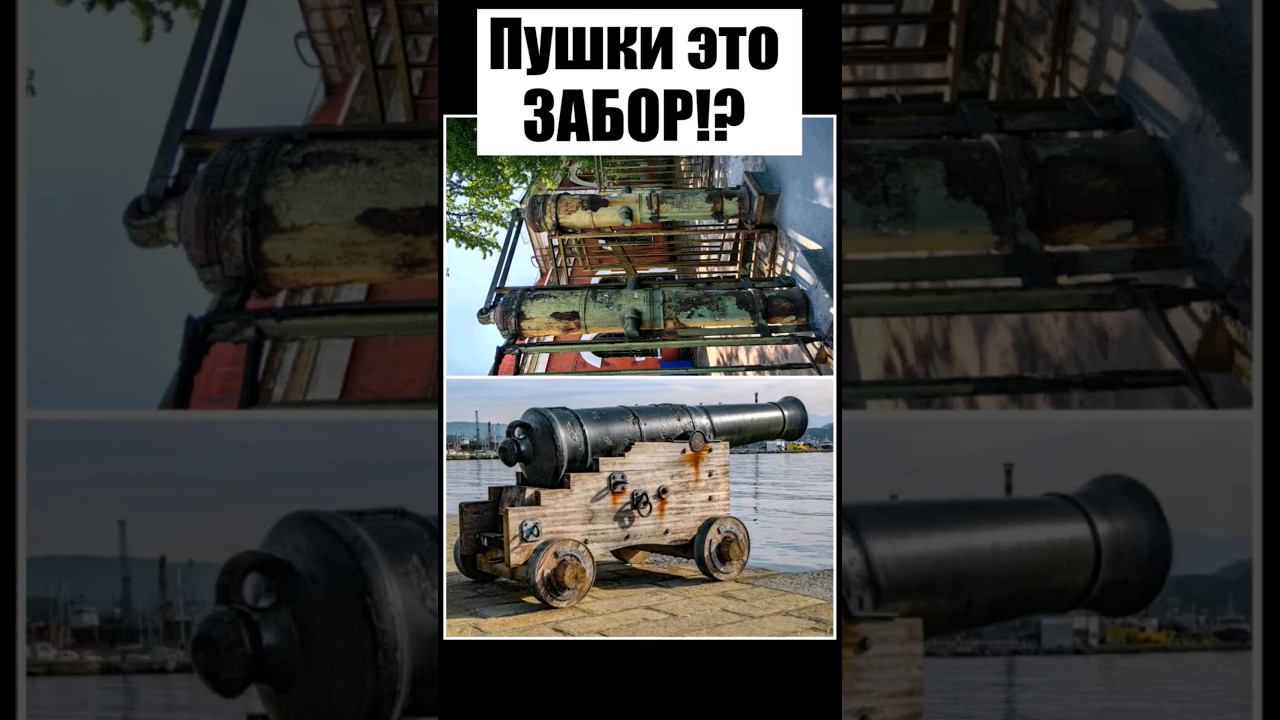 #история #факты #интересныефакты На самом деле пушки это забор!