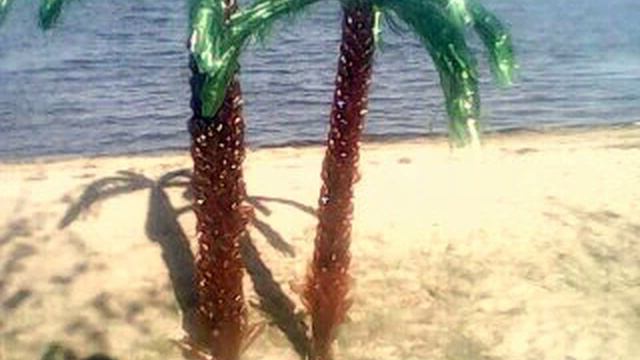 Пальмы из бутылок смотреть онлайн