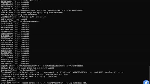 docker部署WordPress站点 смотреть онлайн