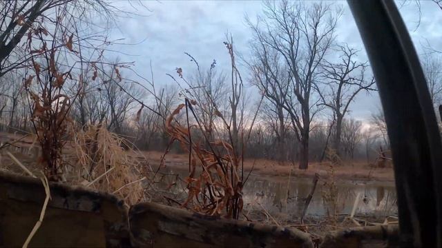 ICY TIMBER HOLE Public Land Mallards! Duck Hunting 2020 смотреть онлайн