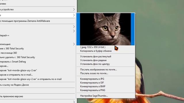 ?Предварительный просмотр изображений c расширением SageThumbs? смотреть онлайн