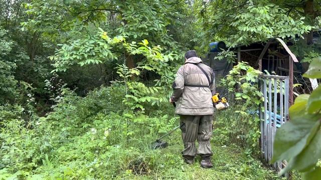 Epic Grass Mowing In Our Jungle On The Stream Bank