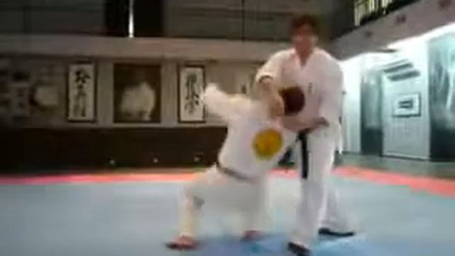 Real aikido Сергей Бородулин Irimi nage yokomen uchi смотреть онлайн