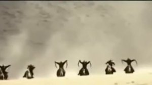 Сильный Нашид   Мы не ослабли  Ma Wahanna