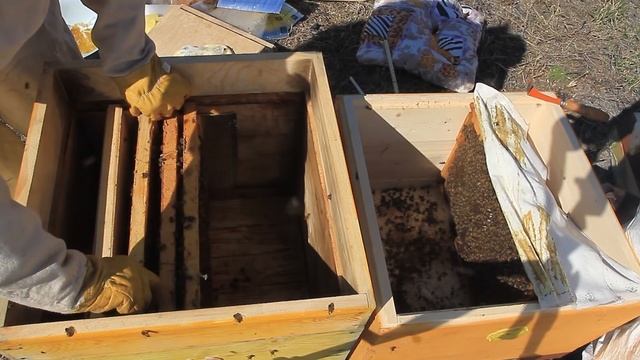 Как я УТЕПЛЯЮ ПЧЕЛОСЕМЬИ ВЕСНОЙ