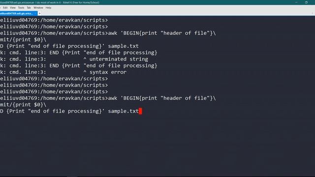 Multiple way of using AWK смотреть онлайн