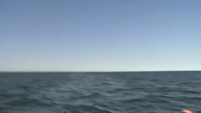Costa Del Mar Sunglasses: Fantail смотреть онлайн