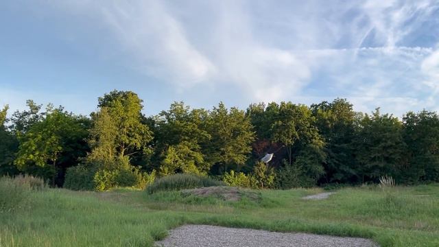Eachine E110 Camera Helicopter