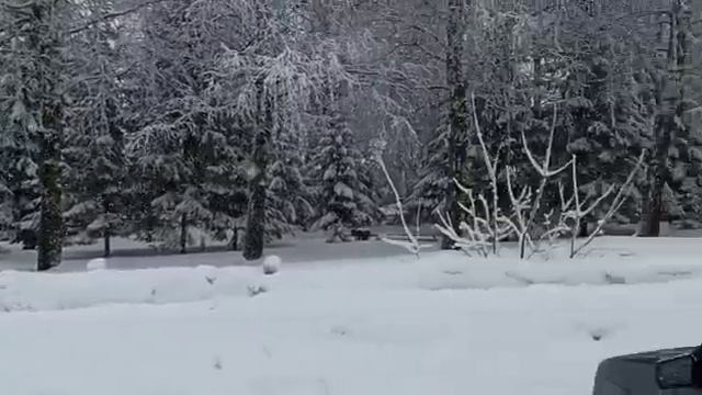 Бижбуляк Победы 8 видео снаружи смотреть онлайн
