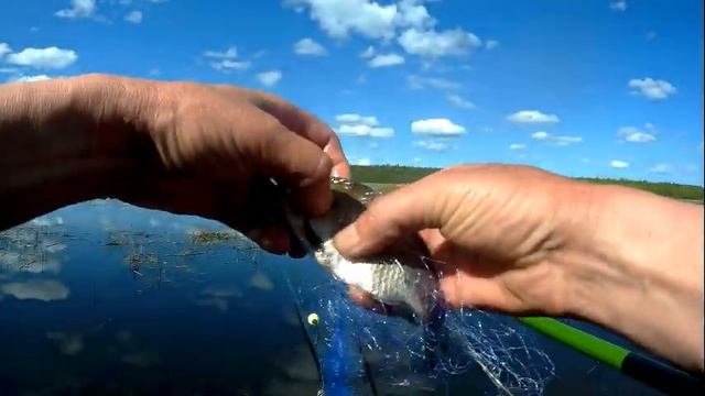 Самая уловистая снасть!!Сеть с кормушкой!Для ловли ленивых карасей! смотреть онлайн