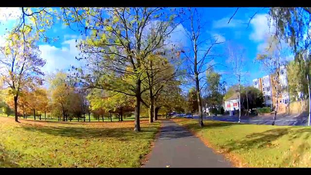 C O L O R |FPV DRONE FREESTYLE смотреть онлайн