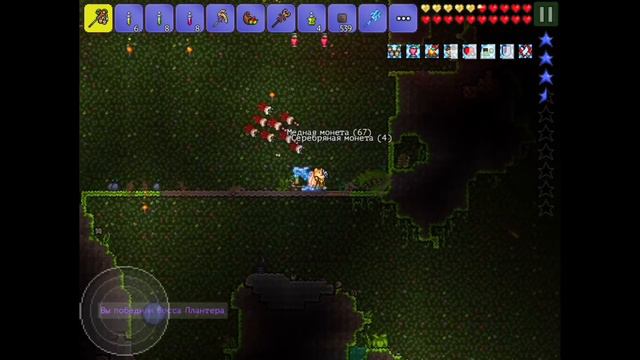 НАКАНЕЦТА НОВЫЕ ПЕТЫ -#12- EXPERT ПРИЗЫВАТЕЛЬ // TERRARIA 1.2.4 - ANDROID/IOS смотреть онлайн