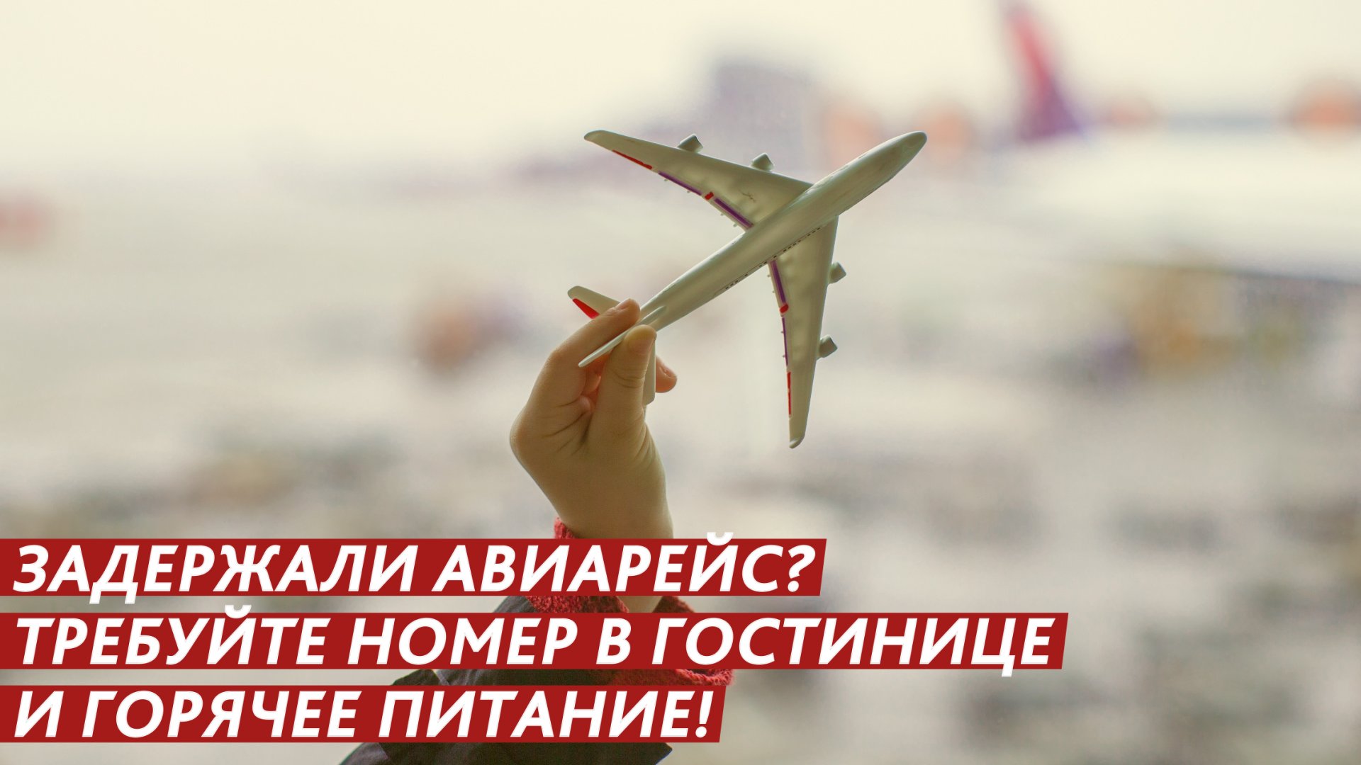 Задержали авиарейс? Требуйте номер в гостинице и горячее питание! смотреть онлайн