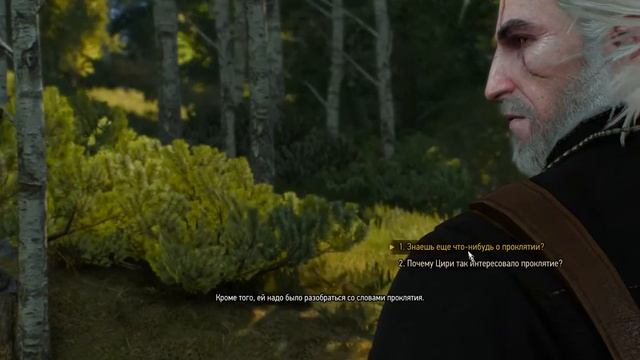 witcher3 Новиград История Цири Сломя голову смотреть онлайн
